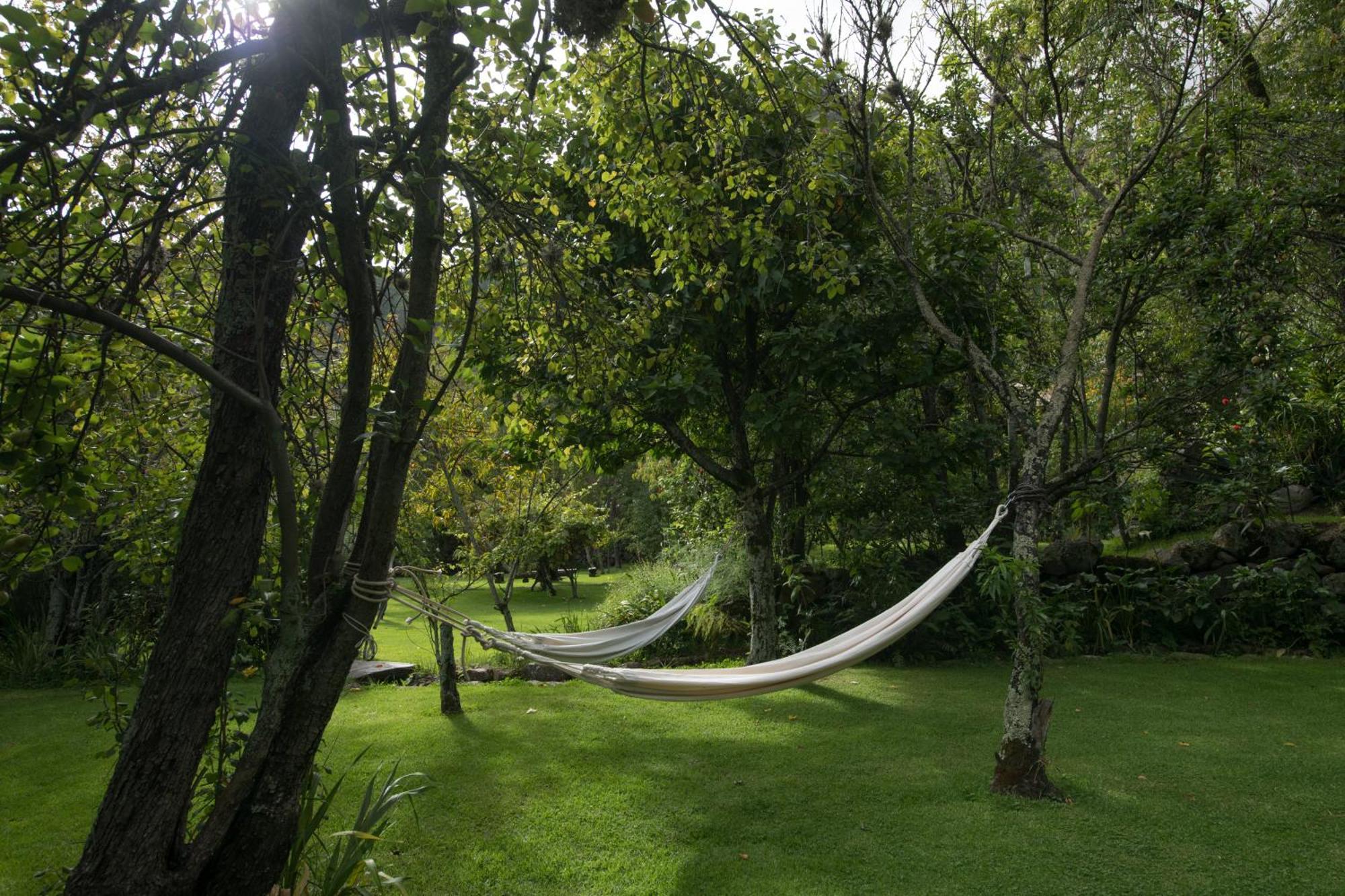 Andenia Boutique Hotel, Sacred Valley Urubamba Exterior foto