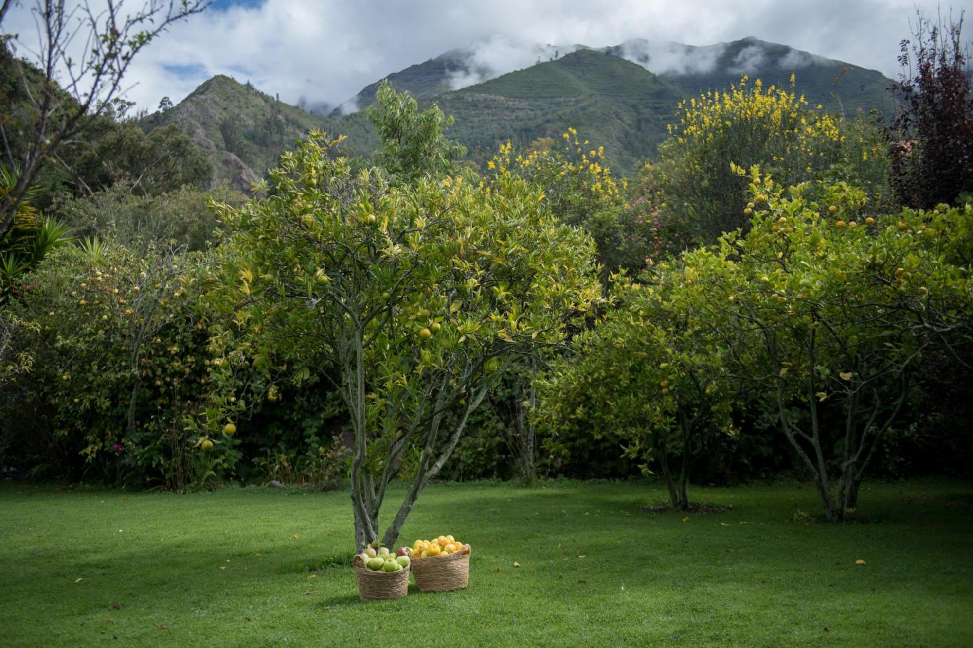 Andenia Boutique Hotel, Sacred Valley Urubamba Exterior foto
